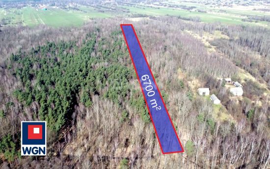 Grunt leśny na  sprzedaż Kamienica Polska - Las na sprzedaż w dobrej cenie!